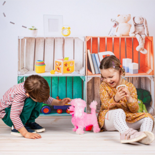 Jucărie Interactivă Pudel de Pluș cu Telecomandă (culoare aleatorie) 