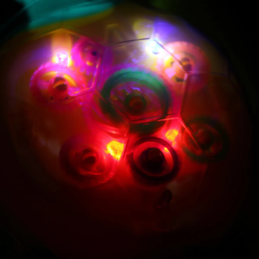 Broască Țestoasă Interactivă cu Lumini și Muzică