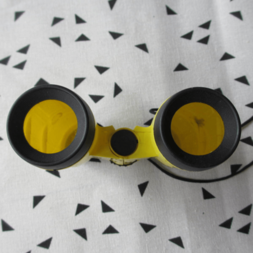 Binoclu pentru Copii cu Busolă și Curea Reglabilă (culoare aleatorie)