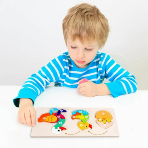 Ciclul de Viață al Rățuștii, Puzzle Incastru de Lemn