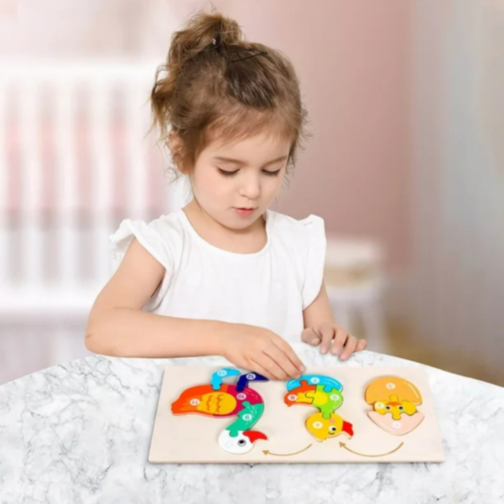 Ciclul de Viață al Rățuștii, Puzzle Incastru de Lemn