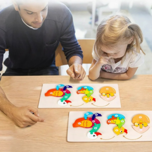 Ciclul de Viață al Rățuștii, Puzzle Incastru de Lemn