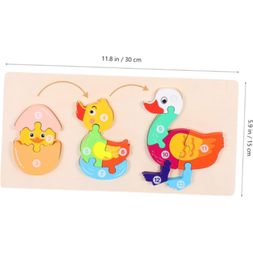 Ciclul de Viață al Rățuștii, Puzzle Incastru de Lemn