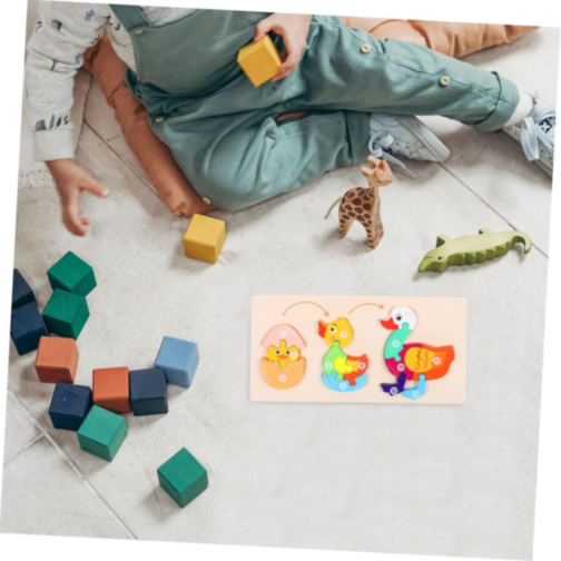 Ciclul de Viață al Rățuștii, Puzzle Incastru de Lemn