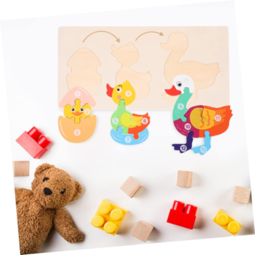 Ciclul de Viață al Rățuștii, Puzzle Incastru de Lemn