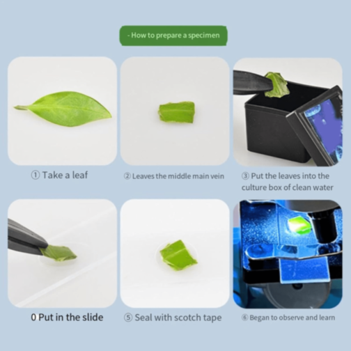 Microscop 1200X cu Lumină LED și Accesorii Educaționale