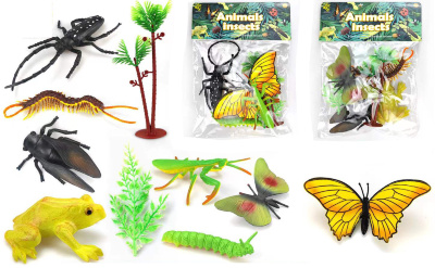 Set 4 Insecte  | image
