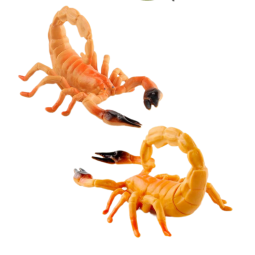 Set 6 insecte realiste din plastic – Modele aleatorii