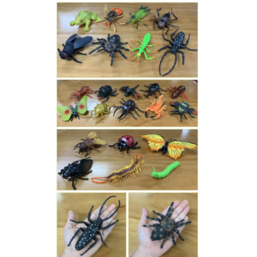 Set 6 insecte realiste din plastic – Modele aleatorii