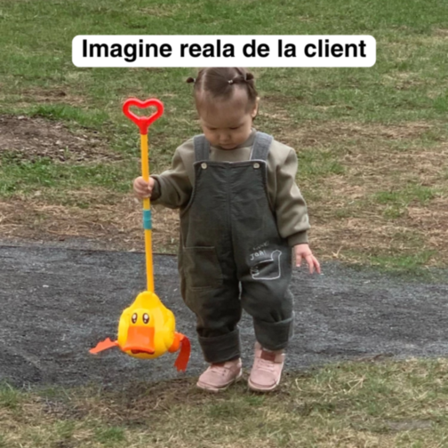 Rățoi de plimbat cu sunete