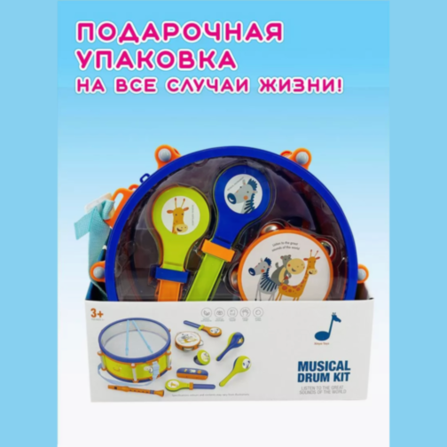 Set Instrumente Muzicale pentru Copii 