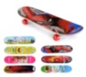 Skateboard pentru Începători, 61cm