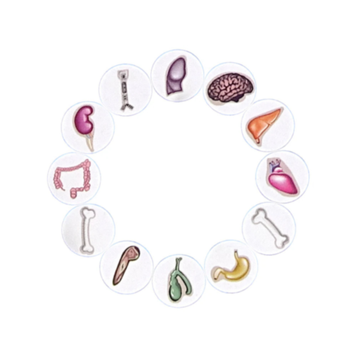 Doctorul Nebun cu Vibrații - Joc Interactiv de Îndemânare