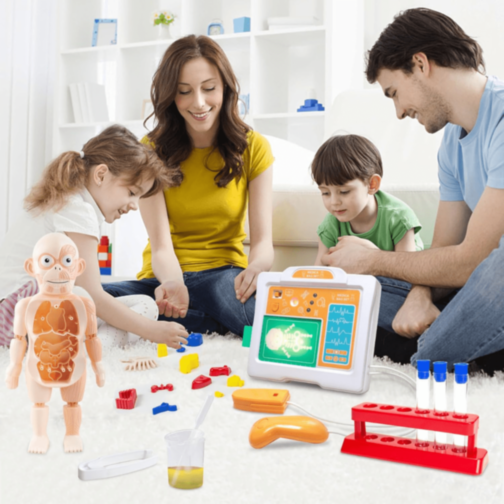 Set Educativ Anatomie Umană cu Organe și Laborator