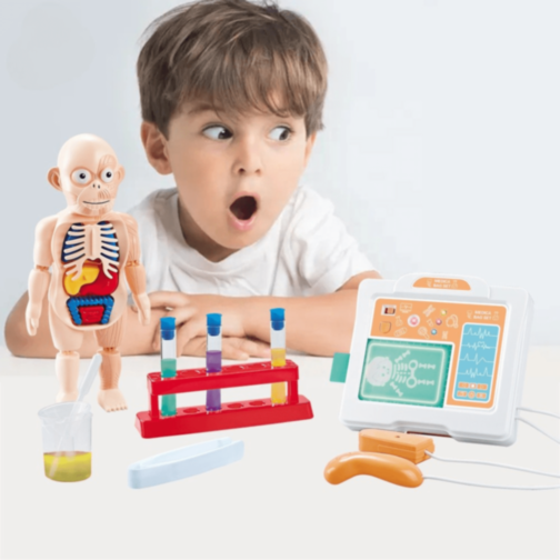 Set Educativ Anatomie Umană cu Organe și Laborator