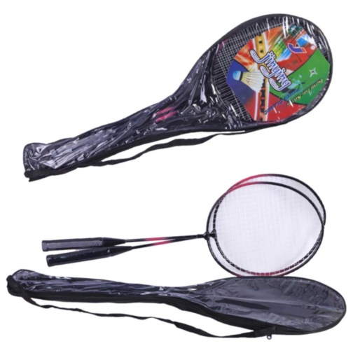 Badminton pentru Începători