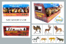Set Figurine Animale Sălbatice – Descoperă Magia Faunei sălbatice