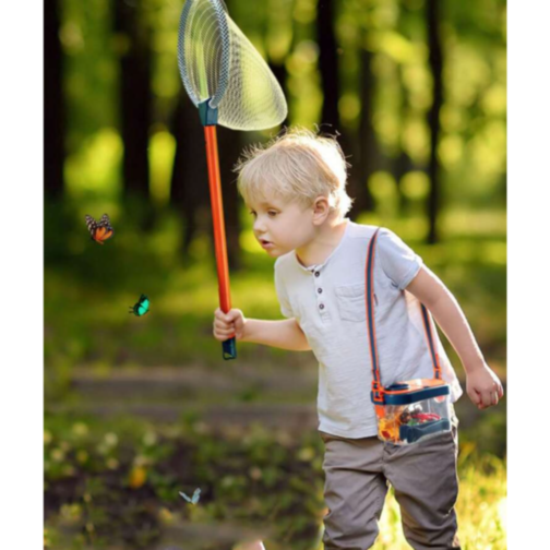 Set Știință și Natură, Explorarea Insectelor