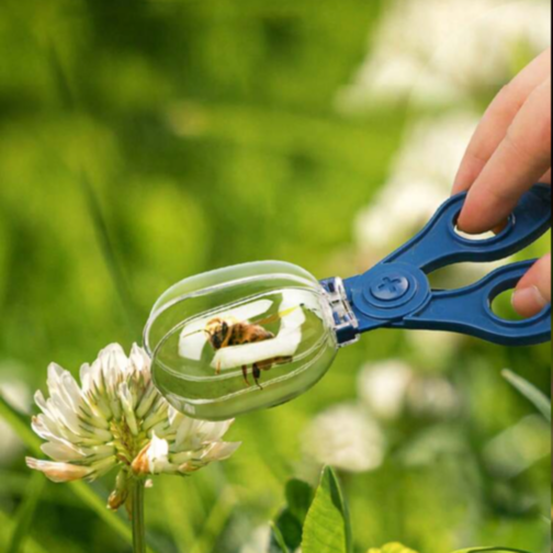 Set Știință și Natură, Explorarea Insectelor