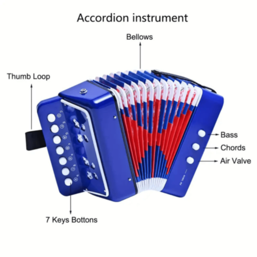 Acordeon Muzical pentru Copii cu 7 Clape (culoare aleatorie)