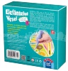 Elefănțelul Vesel - Forme, Culori, Fructe și Legume  joc